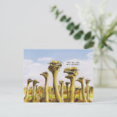 Funny Ostridge Postkarte (Stehend Vorderseite)