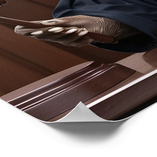 Funny Otter Richter im Gerichtssaal Poster (Ecke)