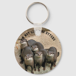Funny Otter Zitat ich bin nicht wie das Otters Fot Schlüsselanhänger