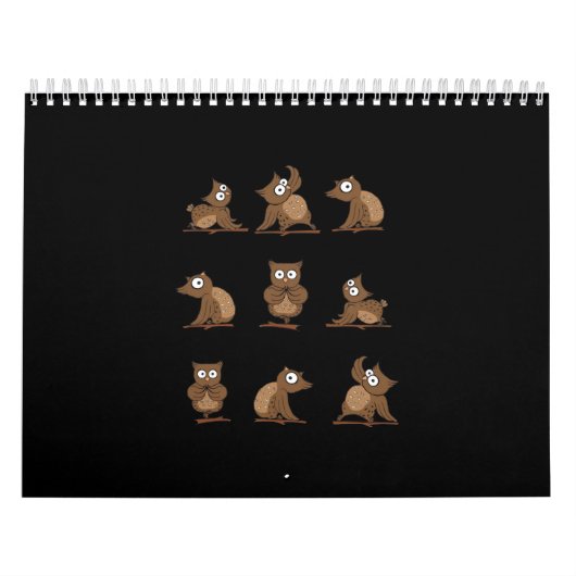 Funny Owl Emotion Muster Kalender (Titelbild)