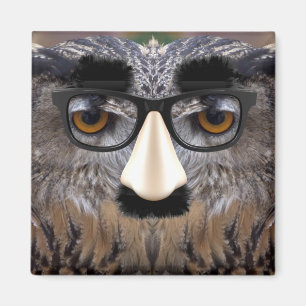 Funny Owl Gesicht mit Maske Magnet