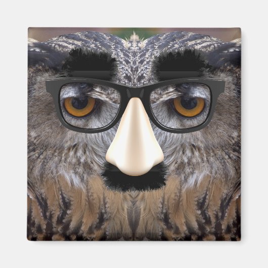 Funny Owl Gesicht mit Maske Magnet (Vorne)