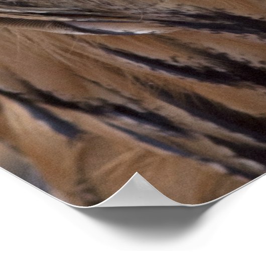 Funny Owl Gesicht mit Maske Poster (Ecke)