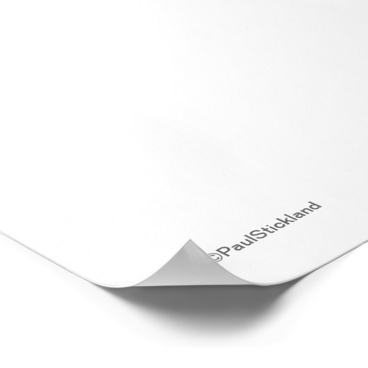 Funny Owl Poster (Ecke)