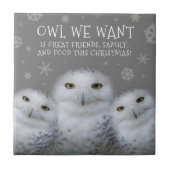 Funny Owl Wir Wollte zu Weihnachten ... Snowy Owls Fliese (Vorderseite)