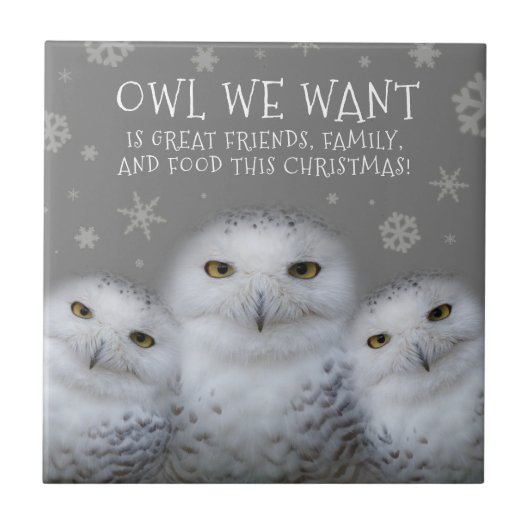 Funny Owl Wir Wollte zu Weihnachten ... Snowy Owls Fliese (Vorderseite)