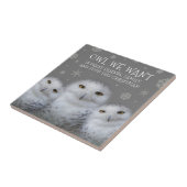 Funny Owl Wir Wollte zu Weihnachten ... Snowy Owls Fliese (Seite)