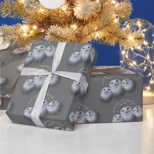 Funny Owl Wir Wollte zu Weihnachten ... Snowy Owls Geschenkpapier (Feiertage)