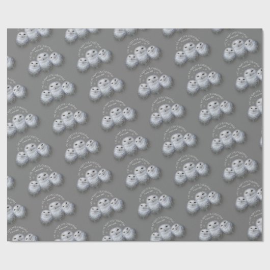 Funny Owl Wir Wollte zu Weihnachten ... Snowy Owls Geschenkpapier (Flach)