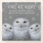 Funny Owl Wir Wollte zu Weihnachten ... Snowy Owls Glasuntersetzer (Vorderseite)