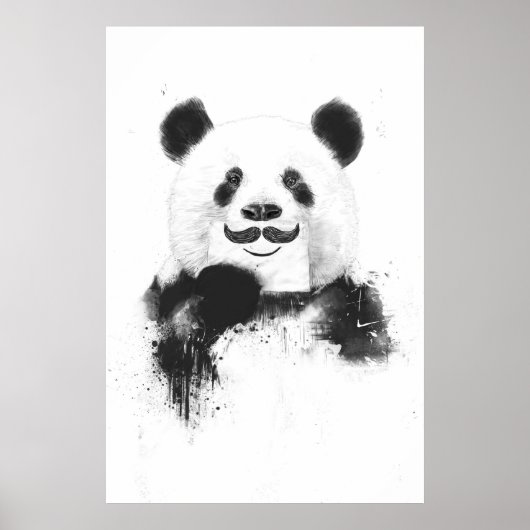 Funny Panda Poster (Vorne)
