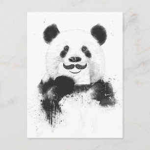 Funny Panda Postkarte