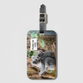 Funny Pandas oder Koalas - Was sind niedlicher? Gepäckanhänger (Vorderseite Vertikal)