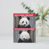 Funny Pandemic Panda Monium Vor und nach Postkarte (Stehend Vorderseite)