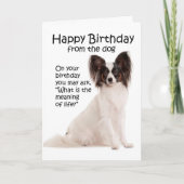 Funny Papillon Birthday Card Karte (Vorderseite)