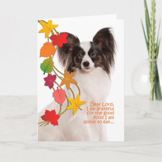 Funny Papillon Erntedank Card Karte (Vorderseite)