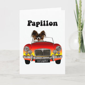 Funny Papillon Karte