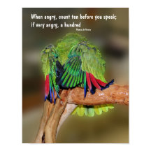 Funny Parrot Anger Zitat Inspiration