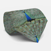 Funny Peacock Feathers Krawatte (Gerollt)