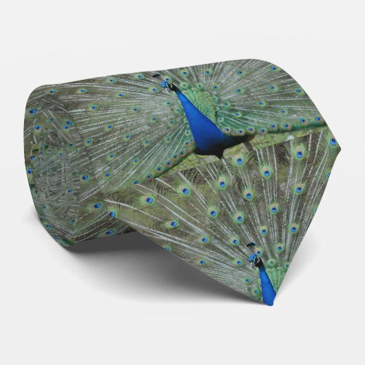 Funny Peacock Feathers Krawatte (Gerollt)