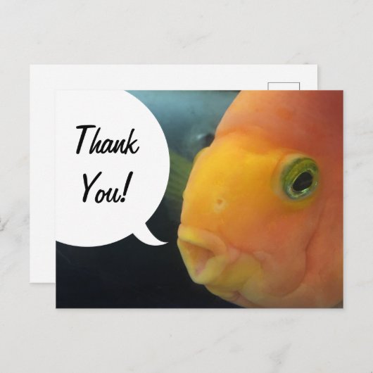 Funny Peekaboo Fish Vielen Dank Postkarte (Vorne/Hinten)