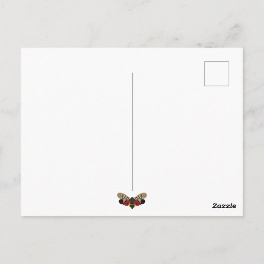 Funny Pennsylvania Gepunktet Lanternfly Custom Postkarte (Rückseite)