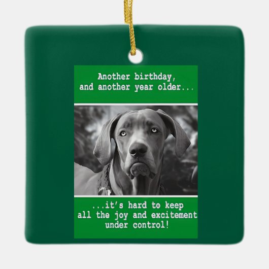 Funny Personalisiert Dog Foto Geburtstag Keramikornament (Vorderseite)