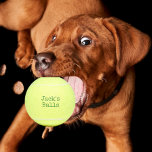 Funny Personalisiert Tennis Balls Tennisbälle<br><div class="desc">Verlieren Sie nie wieder Ihre Tennisbälle mit diesen personalisierten,  grünen Tennisbällen. Gute Geschenkidee für ihn.</div>