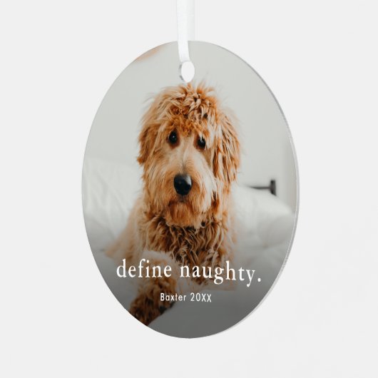Funny Pet 2 Foto Weihnachten Ornament Aus Metall (Vorderseite links)