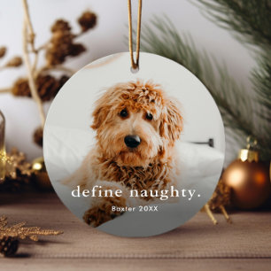 Funny Pet 2 Foto Weihnachten Ornament Aus Metall