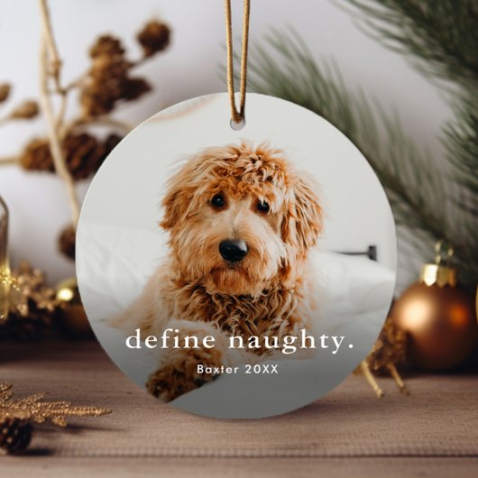 Funny Pet 2 Foto Weihnachten Ornament Aus Metall