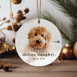 Funny Pet 2 Foto Weihnachten Ornament Aus Metall