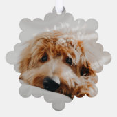 Funny Pet 2 Foto Weihnachtsfeiertag Ornament Karte (Rückseite)