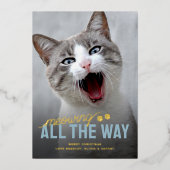 Funny Pet Cat Christmas Folien Feiertagskarte (Vorderseite)