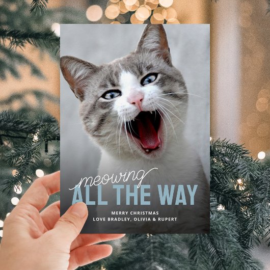 Funny Pet Cat Holiday Weihnachtskarten Feiertagskarte