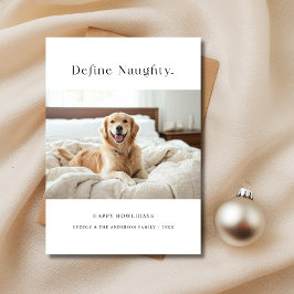 Funny Pet Christmas Definition Naughty Dog Lover F Feiertagskarte