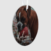 Funny Pet definieren naughty Christmas Ornament (Vorderseite)