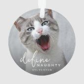 Funny Pet definieren naughty Christmas Ornament (Rückseite)