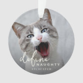 Funny Pet definieren naughty Christmas Ornament (Vorderseite)
