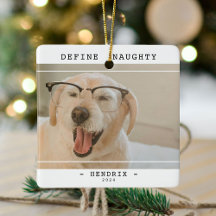 Funny Pet 'Definieren Naughty' Foto Weihnachten