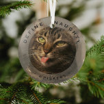 Funny Pet definieren Naughty Weihnachtsglas Foto Ornament Aus Glas<br><div class="desc">Funny Pet Foto Weihnachtsglas Ornament. Design-Features,  ein Bild Ihres Hundes oder Ihrer Katze,  ein Gesamtbild,  der Text 'DEFINIEREN NAUGHTY' und der Name des Tieres. Macht ein wunderbares Sake-Geschenk.</div>