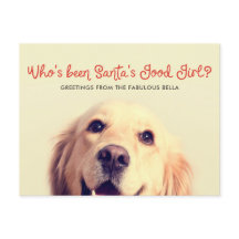 Funny Pet Dog Holiday | Foto Gruß