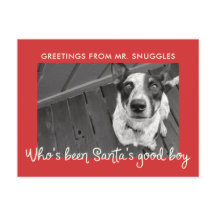 Funny Pet Dog Holiday | Foto Gruß