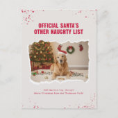 Funny Pet Dog Photo Christmas Holiday Postcard Postkarte (Vorderseite)