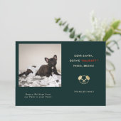 Funny Pet Foto Christmas Feiertagskarte (Stehend Vorderseite)