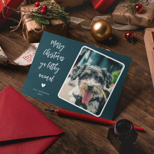 Funny Pet Foto Frohe Weihnachten