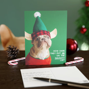 Funny Pet Foto Weihnachtsfeiertag Postkarte