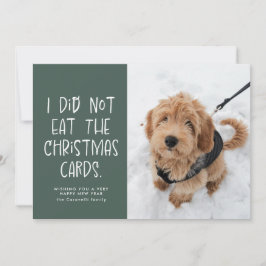 Funny pet green Foto Neujahr Feiertagskarte