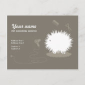 Funny pet grooming Werbeaktion Postcard Postkarte (Vorderseite)