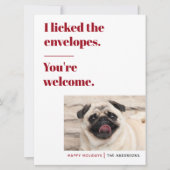 Funny Pet Holiday Card Feiertagskarte (Vorderseite)